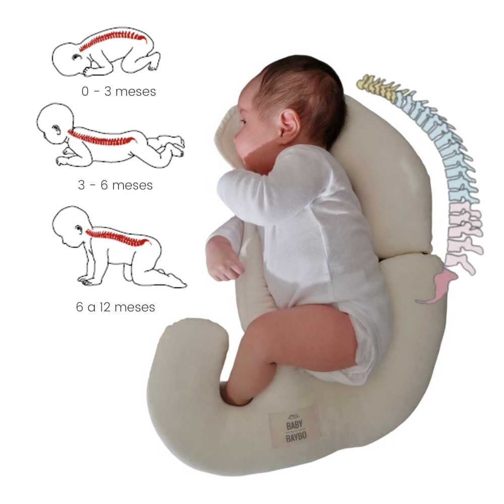 Recién Nacido Bebe De Seis Meses No Quiere Comer Desarrollo Del